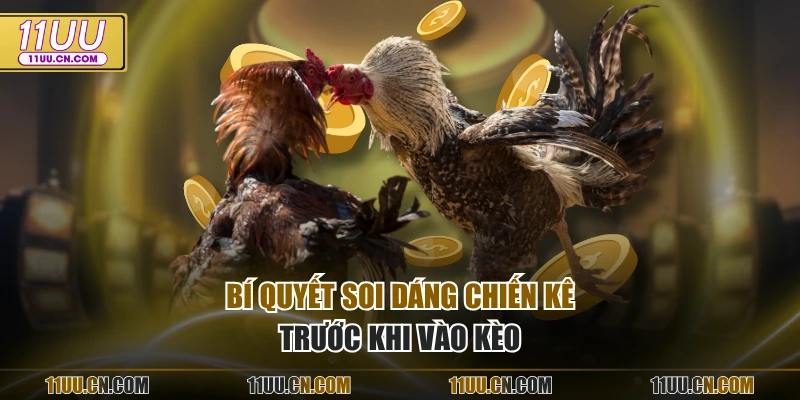 Bí quyết soi dáng chiến kê trước khi vào kèo