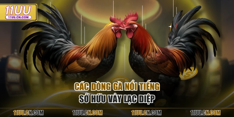 Các dòng gà nổi tiếng sở hữu vảy lạc diệp