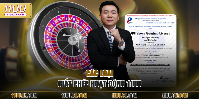 Các loại giấy phép hoạt động 11UU