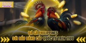 Đá gà Philippines