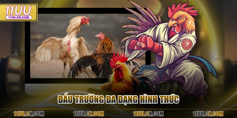 Đấu trường đa dạng hình thức