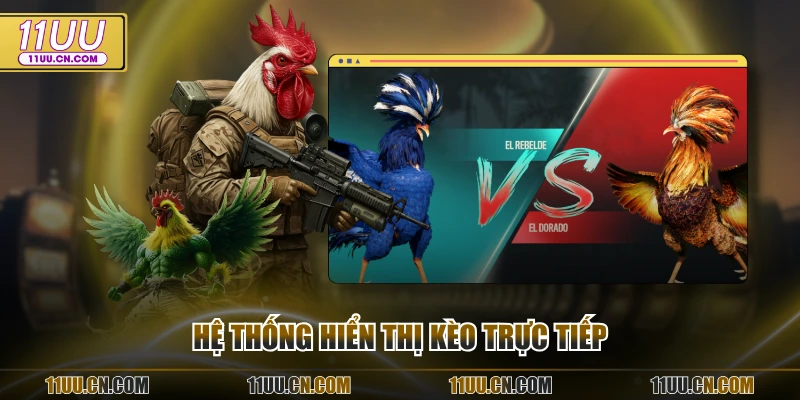 Hệ thống hiển thị kèo trực tiếp