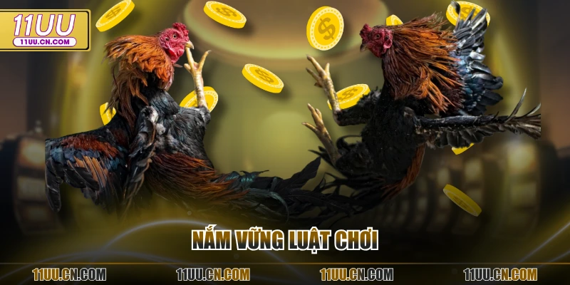 Nắm vững luật chơi