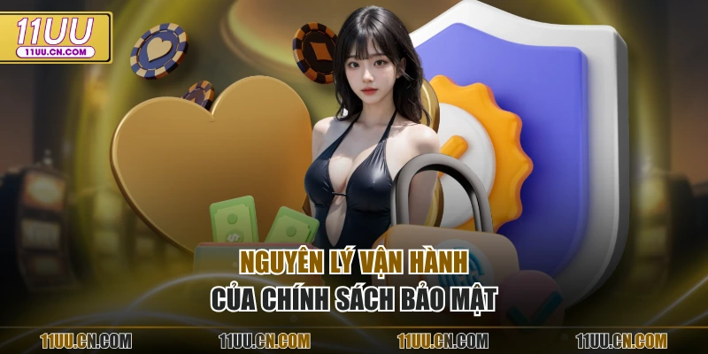 Nguyên lý vận hành của chính sách bảo mật