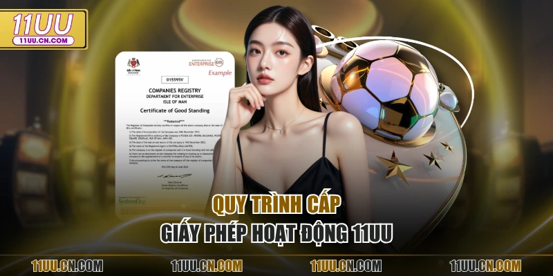 Quy trình cấp giấy phép hoạt động 11UU