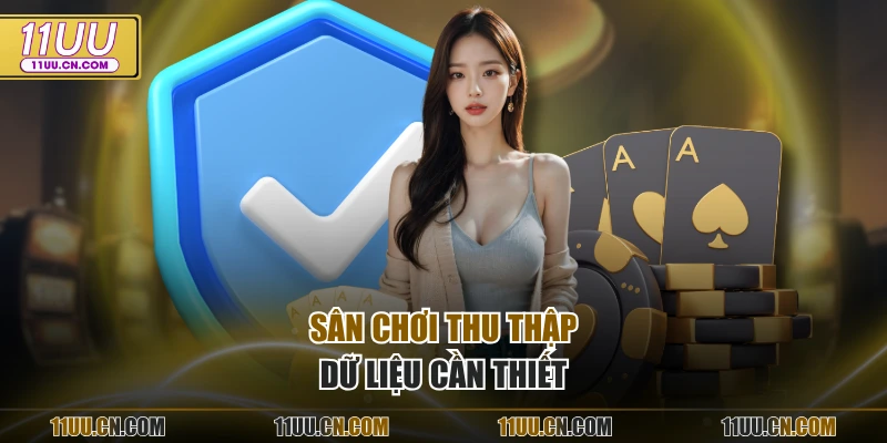 Sân chơi thu thập dữ liệu cần thiết