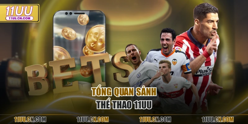 Tổng quan sảnh thể thao 11UU