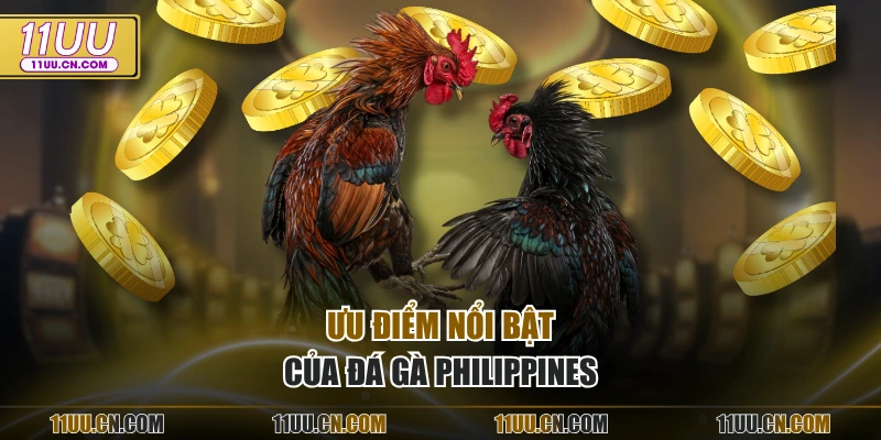 Ưu điểm nổi bật của đá gà Philippines